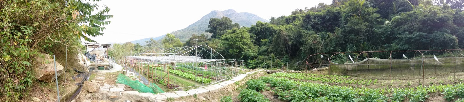 Hong Kong 2015 /images/hongkong2015/farm.jpg